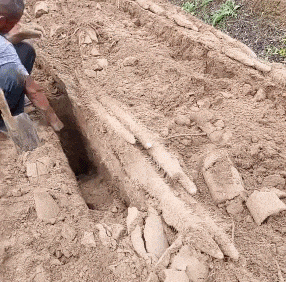 搞笑GIF：隔着屏幕都感觉到了馋，但是我不怎么喜欢吃辣的